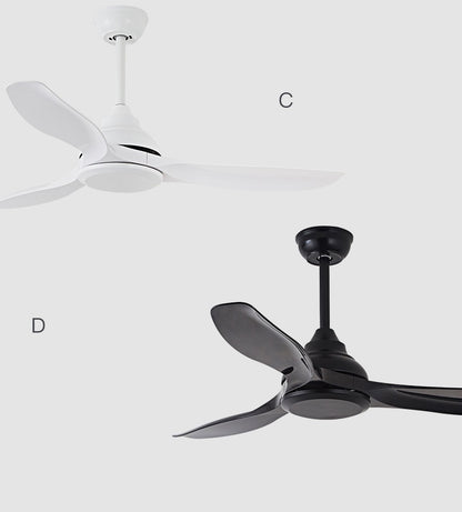 Hunter Ceiling Fan