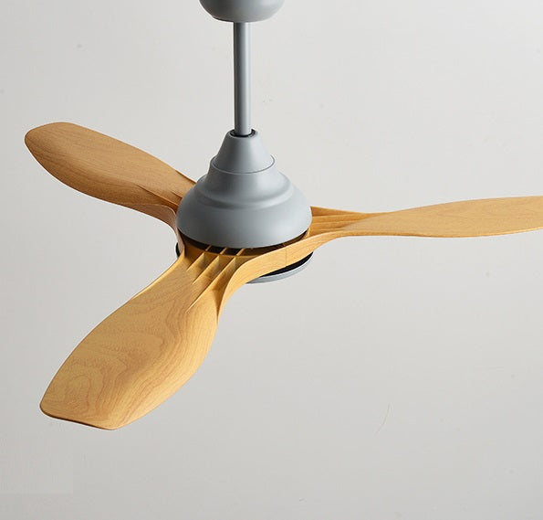 Hunter Ceiling Fan