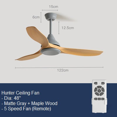 Hunter Ceiling Fan
