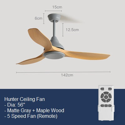 Hunter Ceiling Fan
