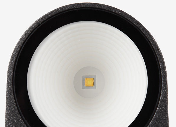 Larson Outdoor Wall Light