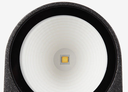 Larson Outdoor Wall Light