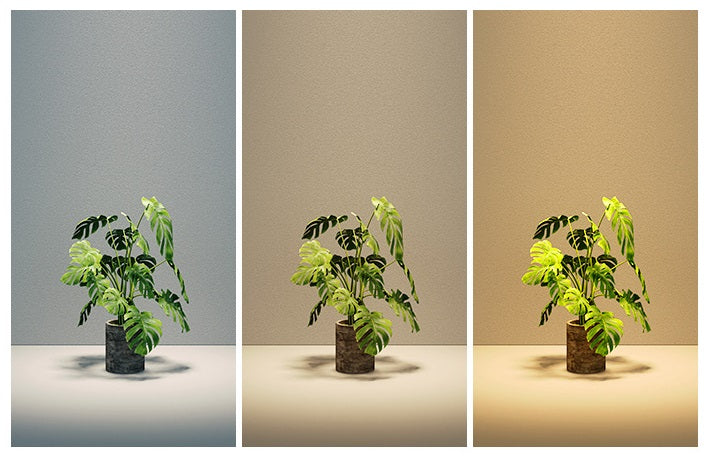 Light Blade Glare-Free Downlight (Adjustable)