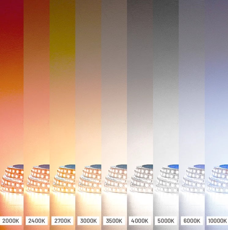 Line 12/Line 24 Strip Light