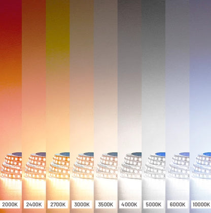 Line 12/Line 24 Strip Light