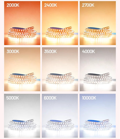 Line 12/Line 24 Strip Light