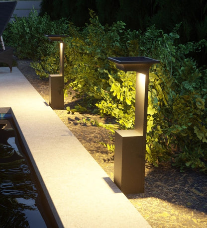 Liora Bollard Lights