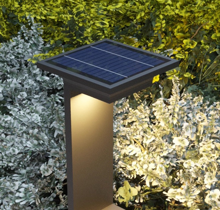 Liora Bollard Lights