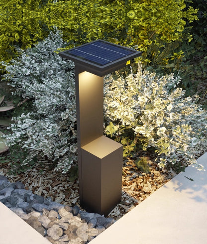 Liora Bollard Lights