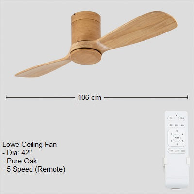 Lowe Ceiling Fan