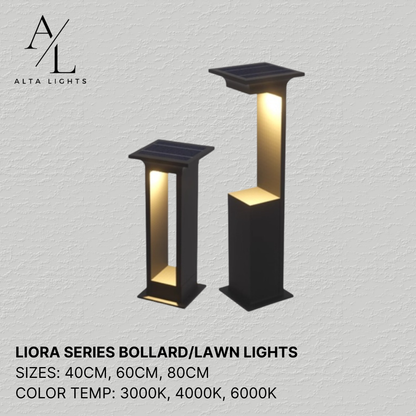 Liora Bollard Lights