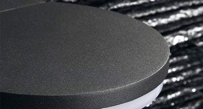 Maximo Outdoor Wall Light