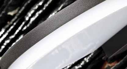 Maximo Outdoor Wall Light