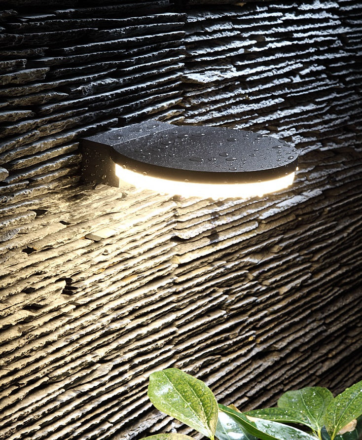 Maximo Outdoor Wall Light