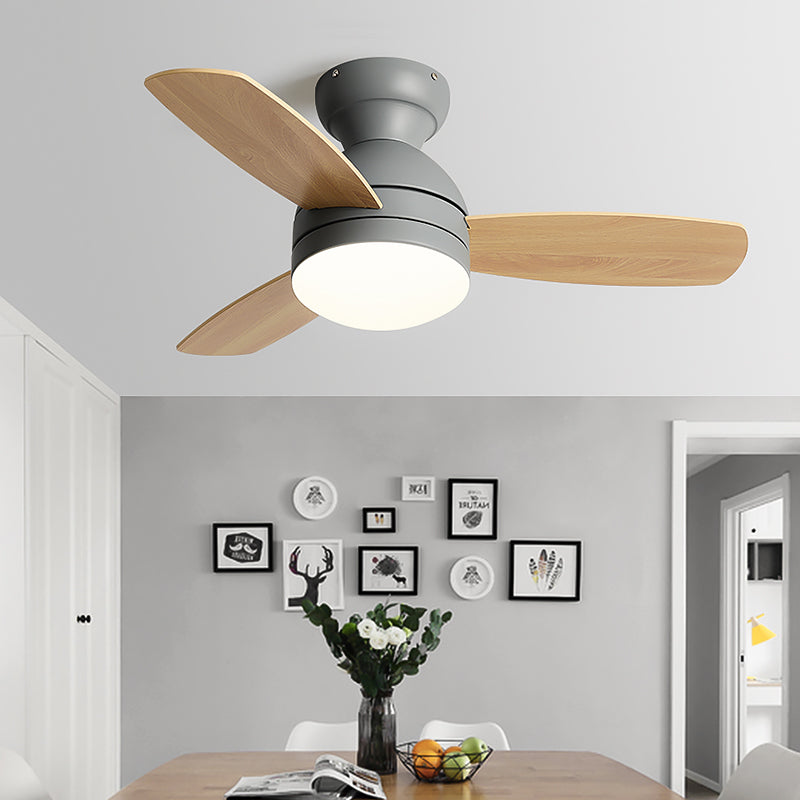 Mera Ceiling Fan