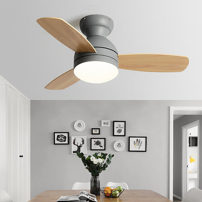 Mera Ceiling Fan
