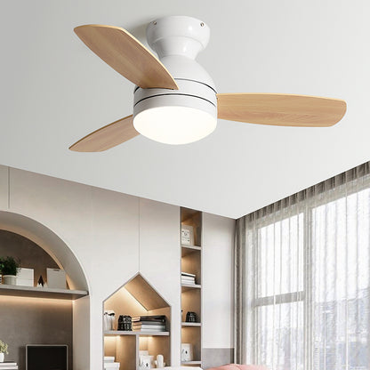 Mera Ceiling Fan