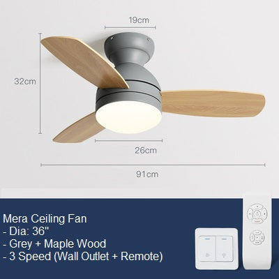 Mera Ceiling Fan