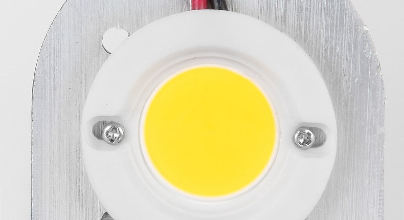 Miko Outdoor Wall Light