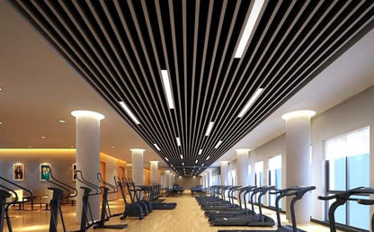 Nero Grid Ceiling Light