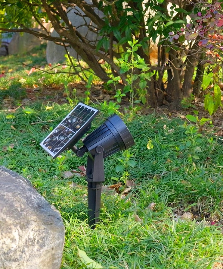 Niva (Automatic Solar Light)
