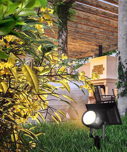 Niva (Automatic Solar Light)