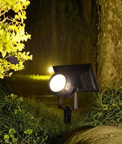 Niva (Automatic Solar Light)
