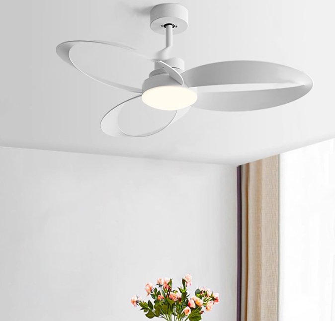 Poppy Ceiling Fan