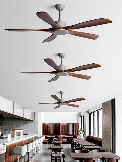 Reviva Ceiling Fan