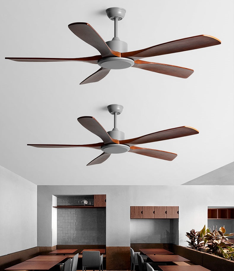 Reviva Ceiling Fan