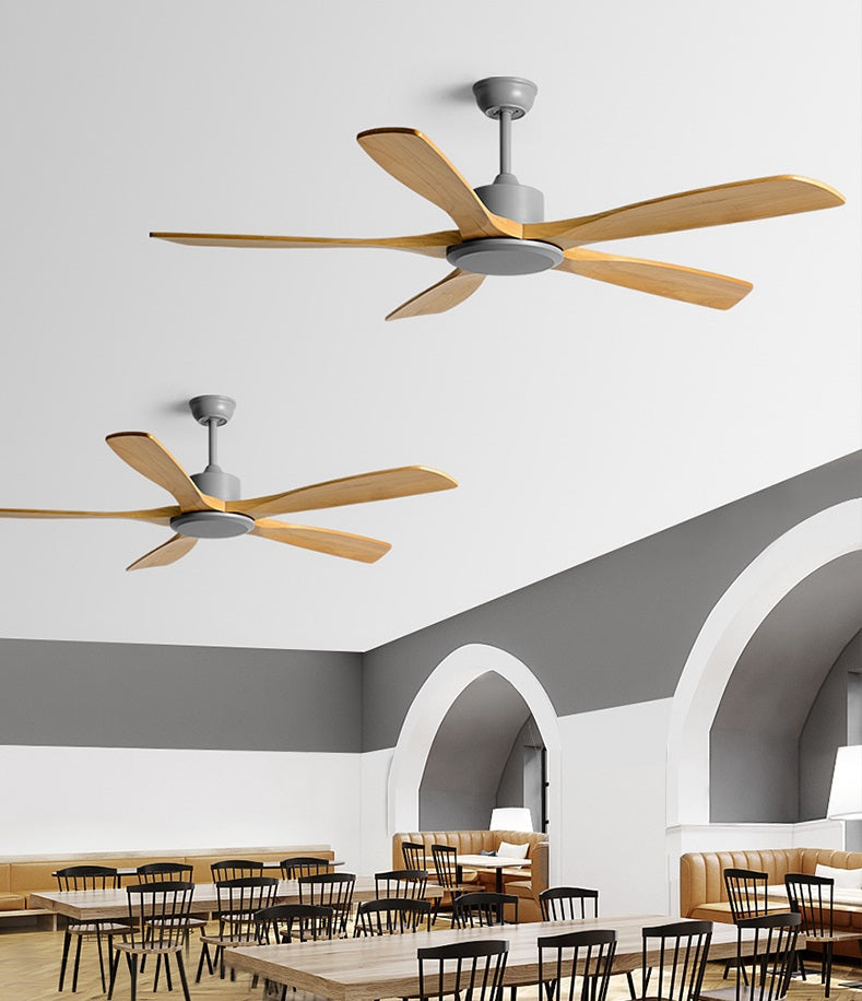 Reviva Ceiling Fan