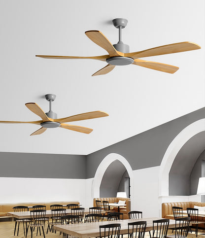 Reviva Ceiling Fan