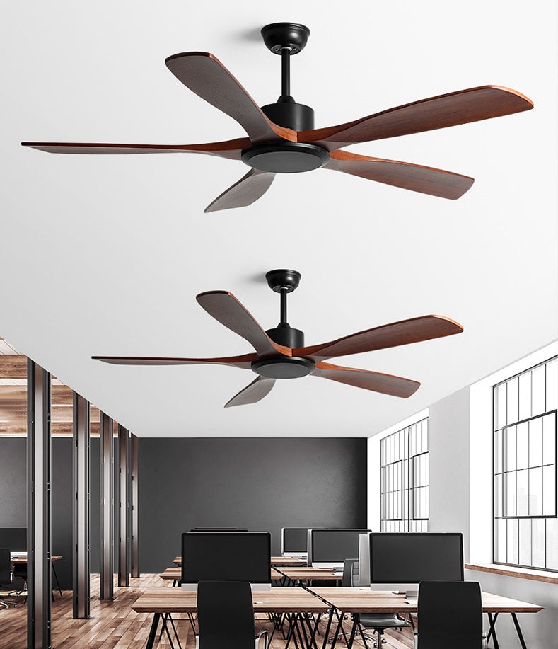 Reviva Ceiling Fan