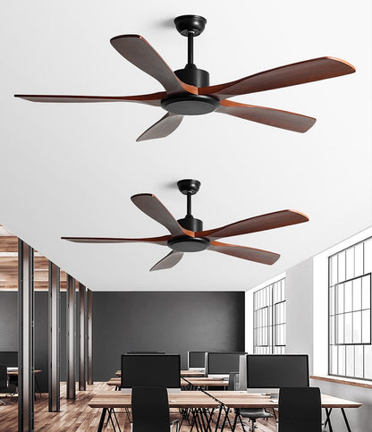 Reviva Ceiling Fan