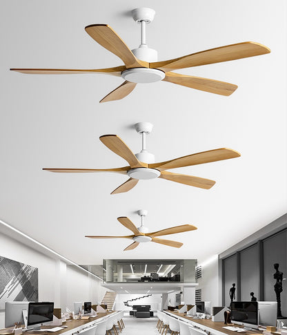 Reviva Ceiling Fan