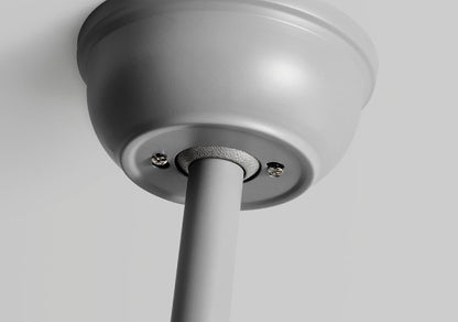 Reviva Ceiling Fan
