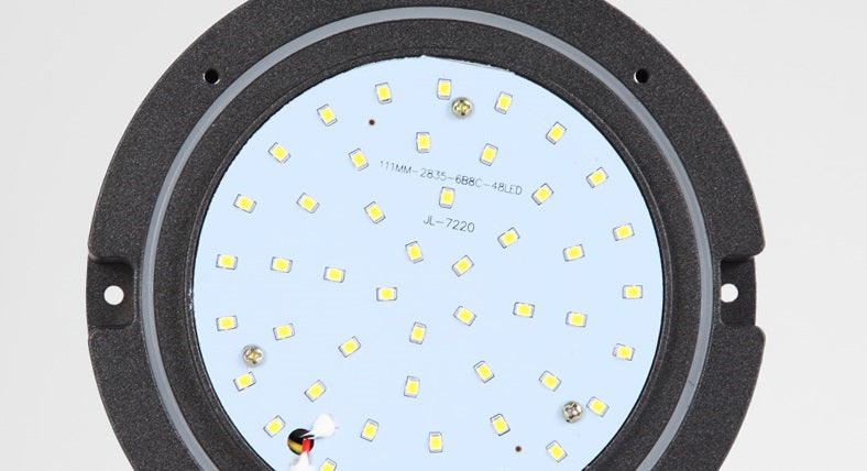 Rio Outdoor Wall Light