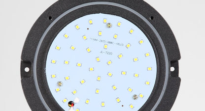 Rio Outdoor Wall Light