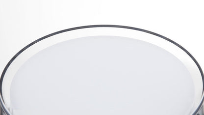 Rio Outdoor Wall Light