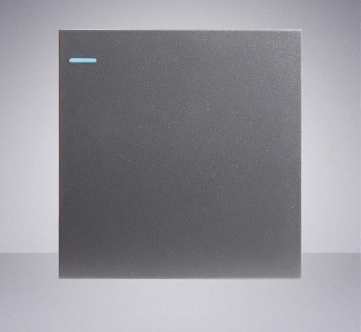 Maximus Series (Silver Gray)