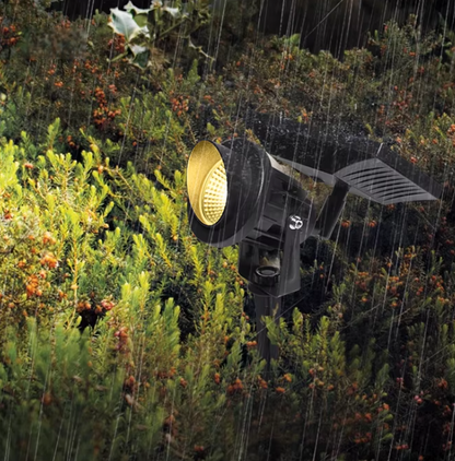 Solar Courtyard lights