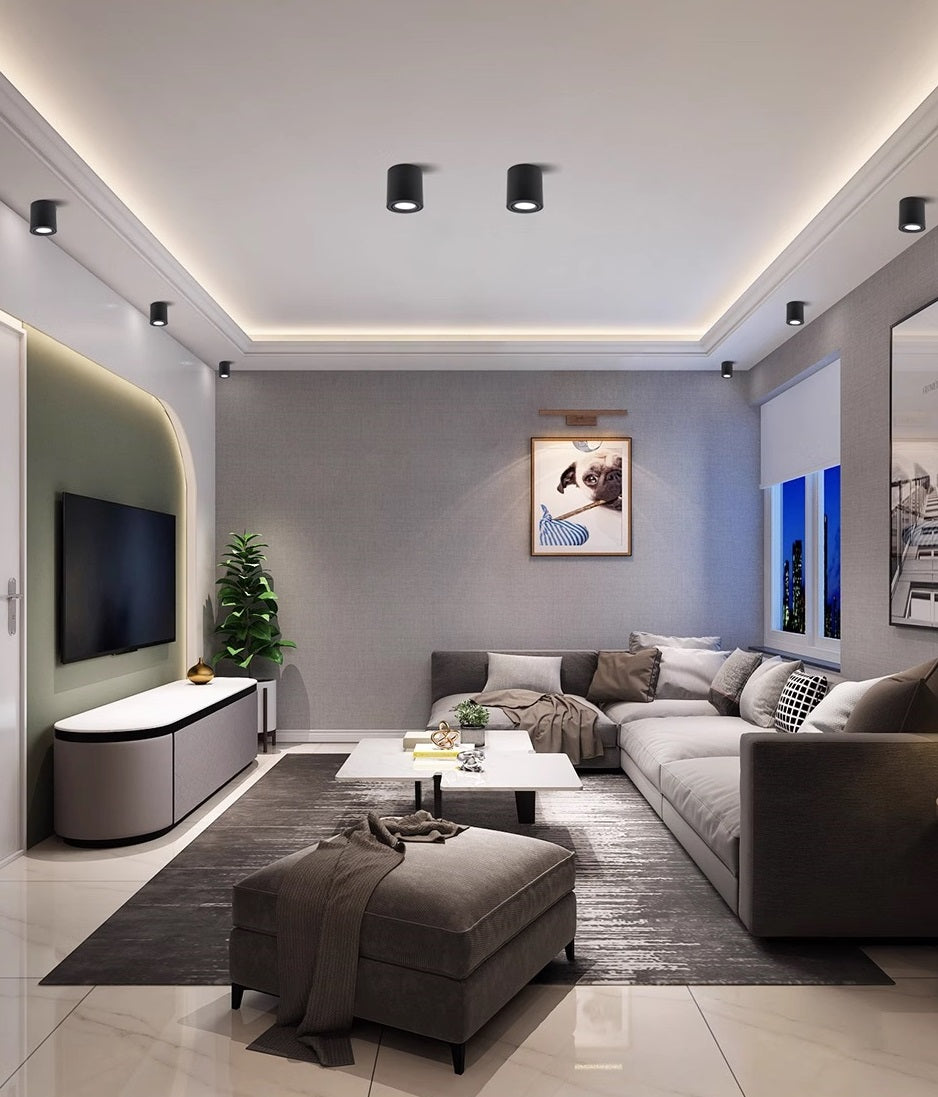 Surface Mounted – ALTA LIGHTS