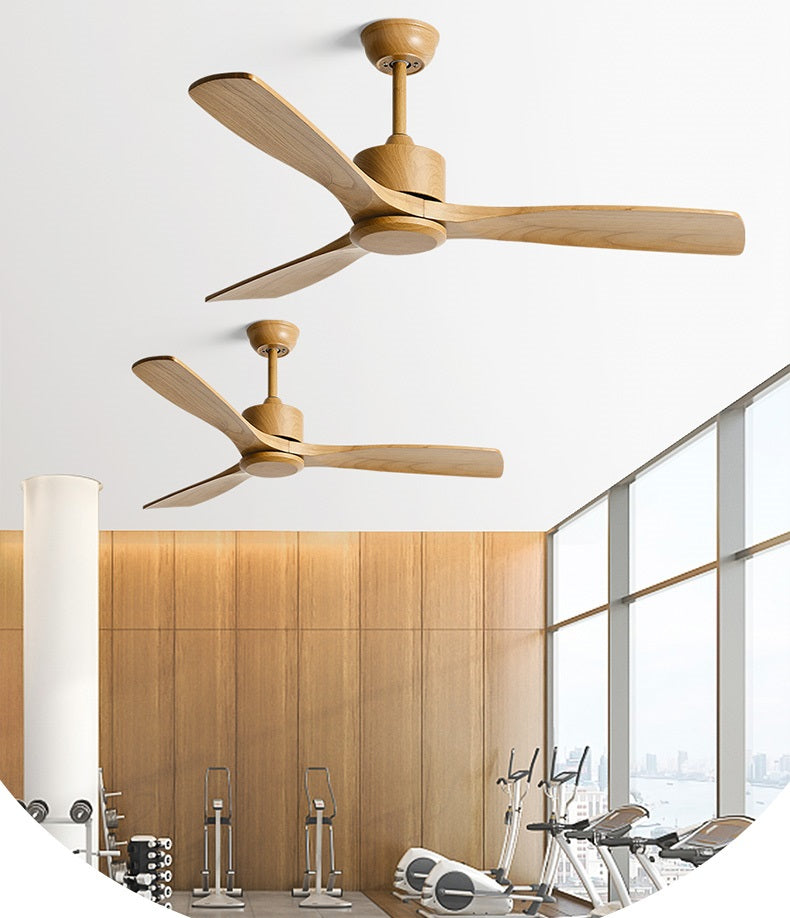 Terra Ceiling Fan