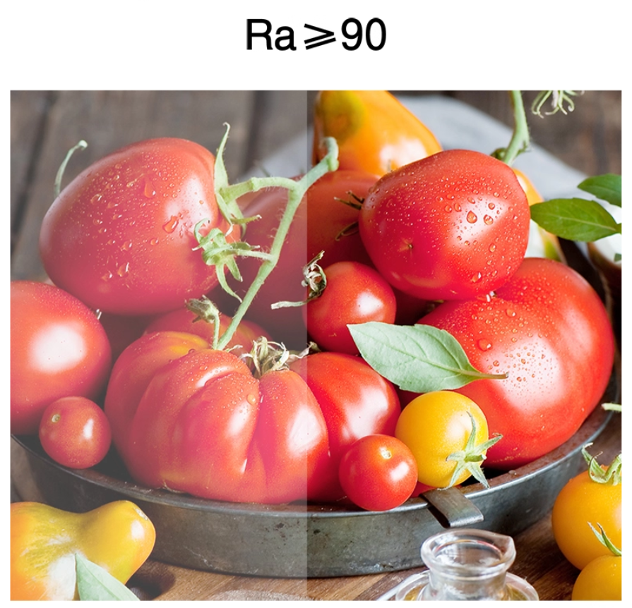 Vesyn Non-Glare Downlight