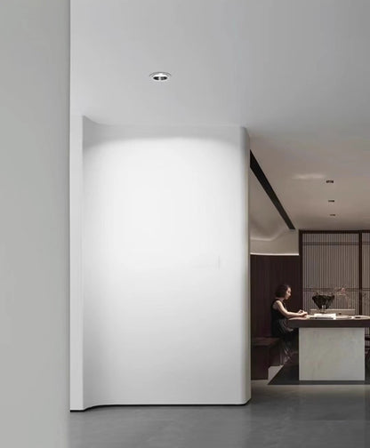 Wall Washer Downlight