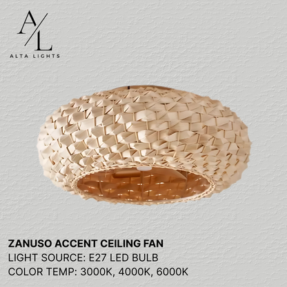 Zanuso Accent Ceiling Fan